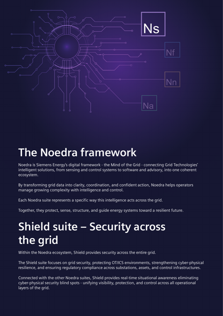 The Noedra framework — suite diagram showing Shield (Ns) highlighted alongside the other Noedra suites (Nf, Nn, Na), with the framework and Shield suite introduction.