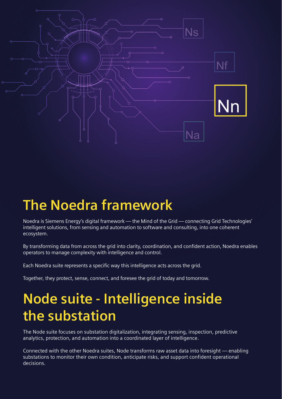 The Noedra framework: suite tiles (Ns, Nf, Nn, Na) radiating from the grid core, with the Node suite (Nn) highlighted, above the framework and Node suite introductions (brochure page 2).